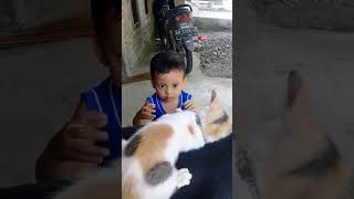 Download lagu ngeriii,,!si kecil di cakar kucing sampai teriak mp3