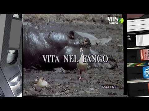 GEO, viaggio nel pianeta Terra - VITA NEL FANGO