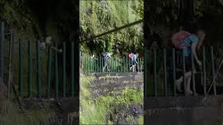 Levada Faja do Rodrigues