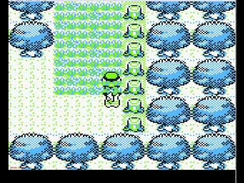 Let's Glitch #1 Pokémon Gelbe edition Nidoking lvl 100 vor dem ersten Orden