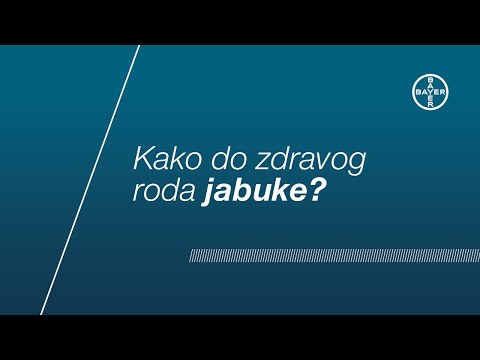 Kako do zdravog roda jabuke?