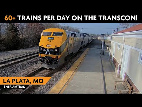 La Plata, Missouri, USA | LIVE Train Camera (Fixed View – West)
