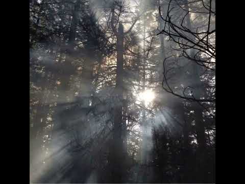 {free} skele x sewerperson type beat 2022 "call back" [prod. viera x irby]