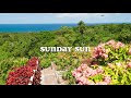 Beck - Sunday Sun (with Lyrics)