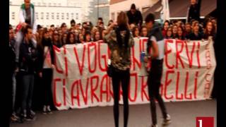 preview picture of video 'Benevento. Corteo studentesco a difesa della scuola pubblica'