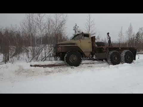 В Якутии при силовой поддержке спецподразделения СОБР задержаны "черные лесорубы"