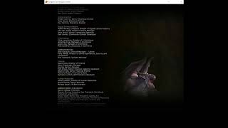 Dungeons & Dragons Online Game Credits (2021)