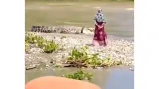 Download lagu buaya berkalung ban di palu takluk sama emak-emak....!!😂😂 mp3 Download lagu buaya berkalung ban di palu takluk sama emak-emak....!!😂😂 mp3