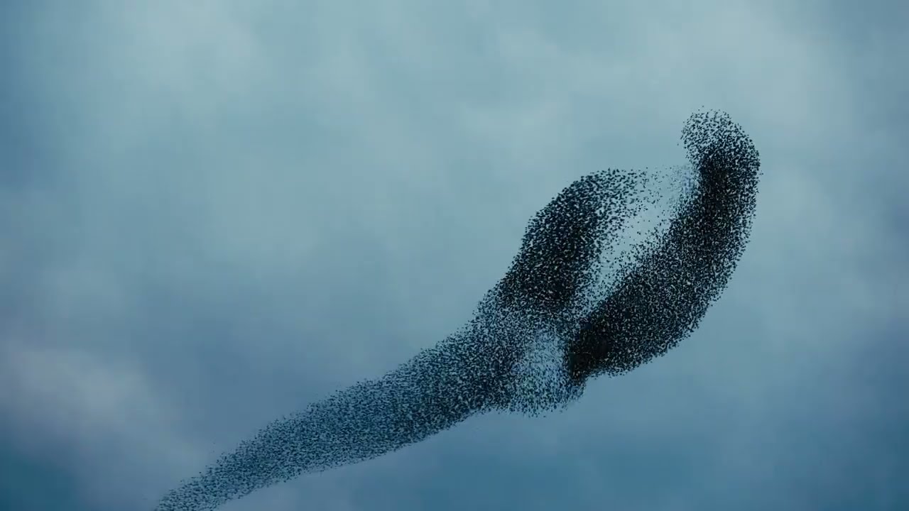 Creëer Harmonie tussen Mensen: Ontdek de kracht van Iedereen is Waardevol!