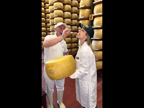 I made Parmigiano Reggiano in Italy