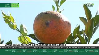 Miniatura do vídeo