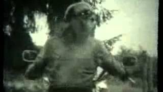 Mudhoney     &#39;1995&#39;                       ............  Bremerton, WA.  &#39;95