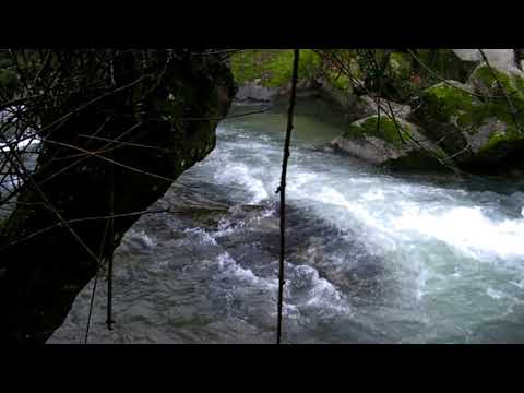 Rio Ferreira - Lordelo 11 fev 2018