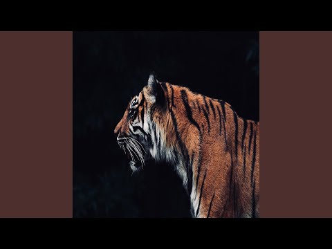 THE MATRIX (feat. JFliz & Isis Aset)