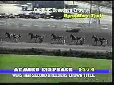 1994 Breeders Crown Open Mare Trot Armbro Keepsake