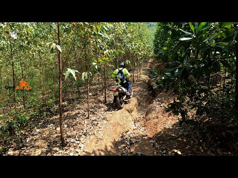 Thumbnail for The Best Motorbikes For Vietnam Off-road Motorcycling, Honda XR150L Vs CRF250L | VietnamOffroad.Com by Honda Vietnam