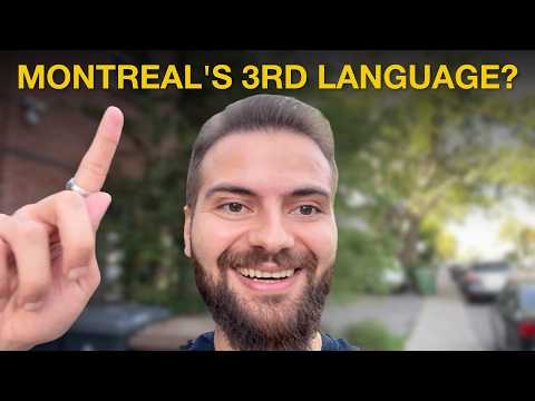 I Live in Montreal's Most Arabic Neighborhood.