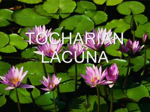 TOCHARIAN - LACUNA.wmv