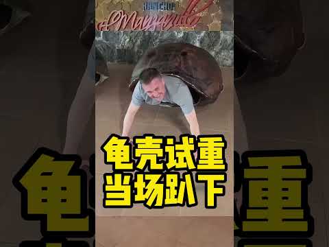 龟壳试重当场趴下#健身 #健美 #撸铁  #肌肉 #健力#力量举#大力士 #类固醇 #bodybuilding #bodybuilder#muscle#俯卧撑 #乌龟壳