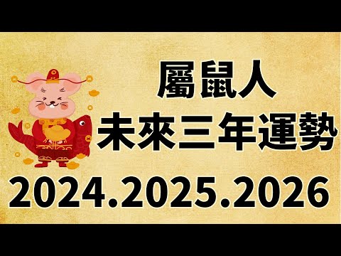 2025年生肖五行