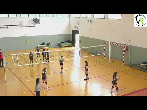 ALEVIN VERDE - PARLA