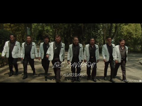 CARICIAS - (ACARICIAME )  LOS JAVUGOH   (Video Oficial)