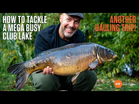 How to Tackle a Busy Club Water with Adam Penning | Carp Academy