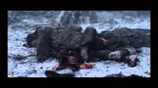 MSL101L05 Breaking Point