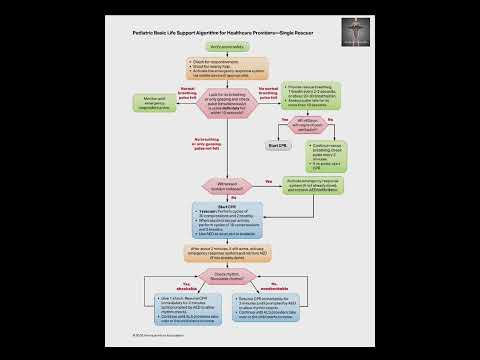 Basic life support for Adult and Pediatric