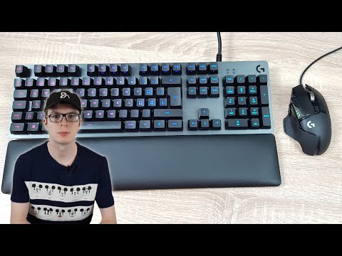 Meine Gaming Peripherie - Logitech G513 Carbon & G502 Hero