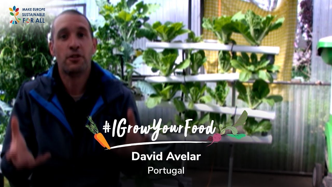 Meet David Avelar from Portugal & hear what he has to say about Permaculture 🇵🇹