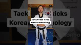 Korean Terminology🇰🇷: Taekwondo Kicks!