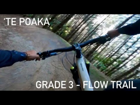 Unreal flow trail ‘Te Poaka’ Grade 3 - Whakarewarewa Forest, Rotorua MTB park 🇳🇿