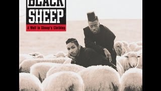 Black Sheep The Choice is Yours lyrics on screen and in description
