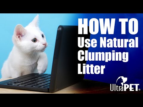 How-to-Use Natural Clumping Cat Litter