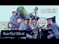 The Trashmen | Surfin' Bird (Bird is the Word) ♫ | 1963 💃