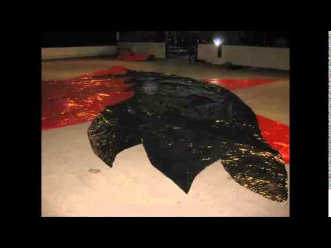 Entstehung der 10 Jahres Choreo der WB04