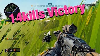 [BO4 Blackout] 圧巻の14kills ドン勝！