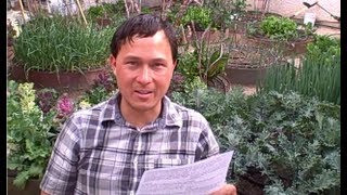 Can I Compost Oranges and Other Citrus Fruits & More Organic Gardening Q&A
