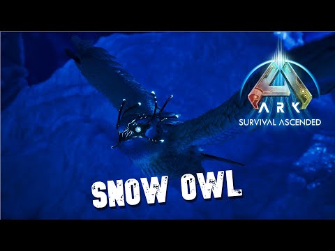 Taming A Snow Owl | Ark Survival Evolved | Extinction