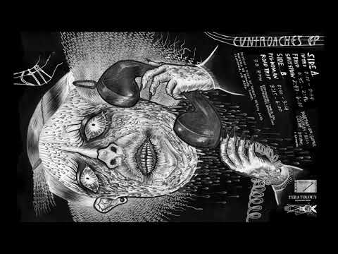 CUNTROACHES - Fraud (Official Audio)