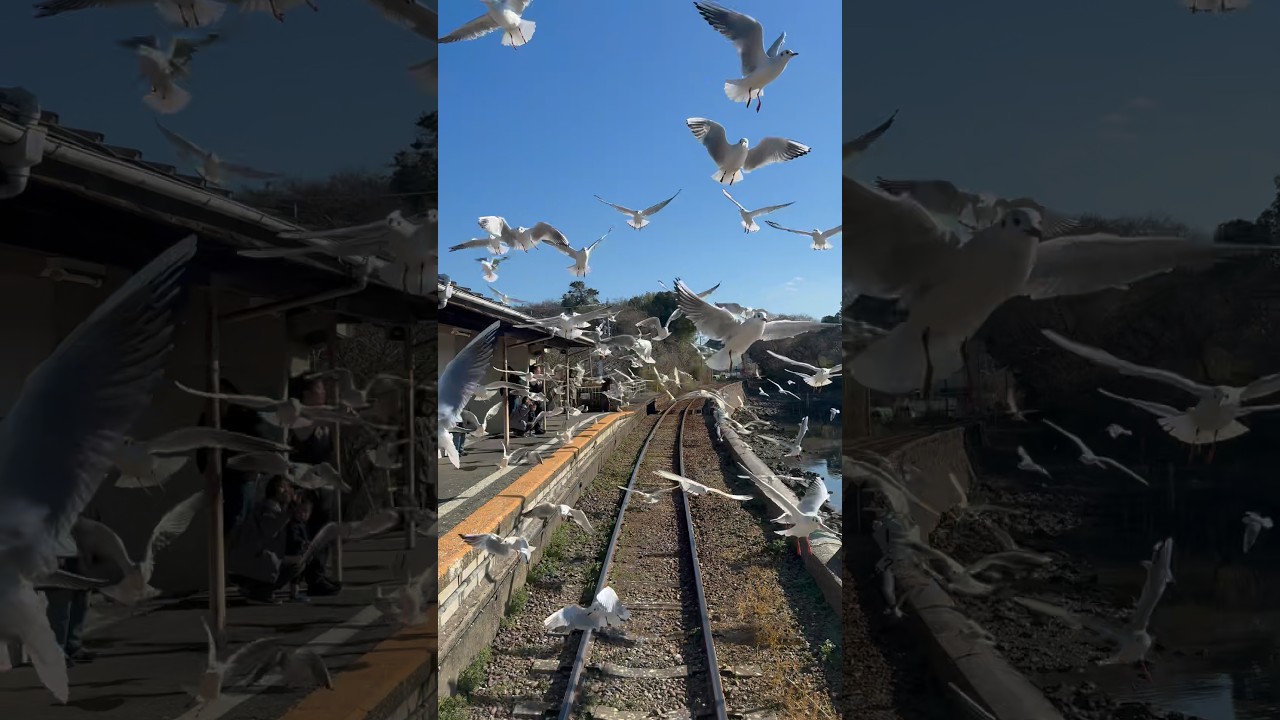 カオス過ぎる駅