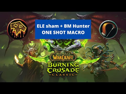 Elemental Shaman BETA: Ele + BM = One shot