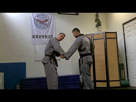 Sinmoo Hapkido Foundations: Episode 67 - High Blocks
