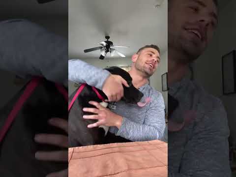 New Study Reveals Link Between Antibiotic Use & Cognitive Decline