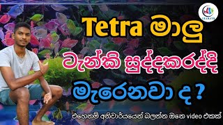 Tetra මාලු එක පාරම මැර�