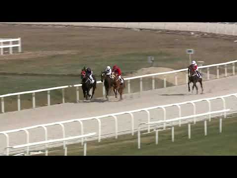 2021.03.28. 02. futam - IBOLYA HENDIKEP (V/b.) (szintetikus pálya)