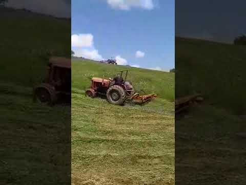 Bilogorci travu kose među gorama