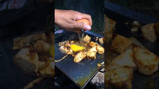 Download lagu BARBEQUE TOFU #outdoorcooking #asmr mp3 Download lagu BARBEQUE TOFU #outdoorcooking #asmr mp3