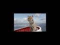 First Night, First Day (Mychael Danna - Life of Pi)